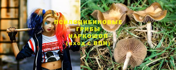 дживик Дмитровск