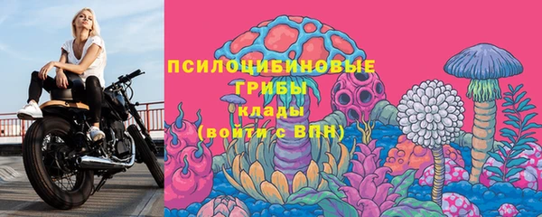 прущий лед Дмитров