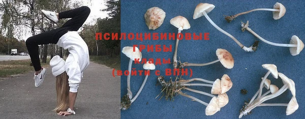 прущий лед Дмитров