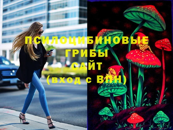 кокаин Дмитриев