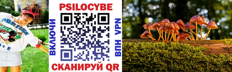 Купить  Славск  Псилоцибиновые грибы прущие грибы 